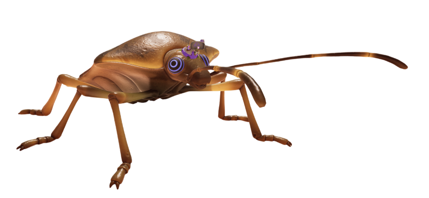 O.R.C. Stinkbug